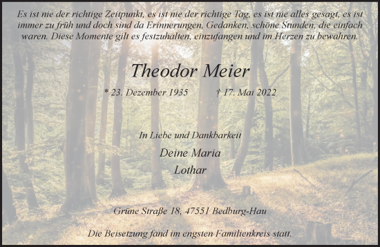Traueranzeige von Theodor Meier 
