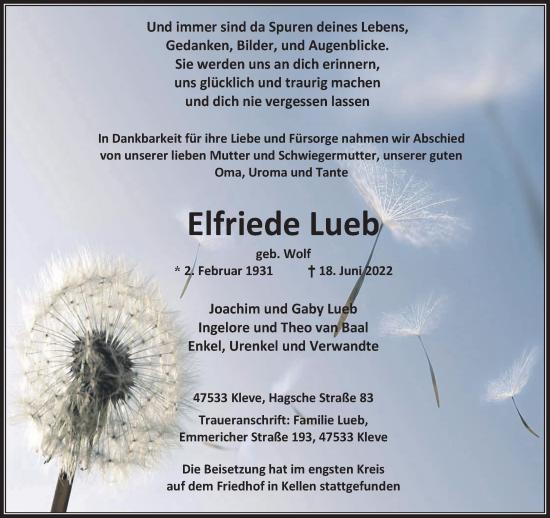 Traueranzeige von Elfriede Lueb 