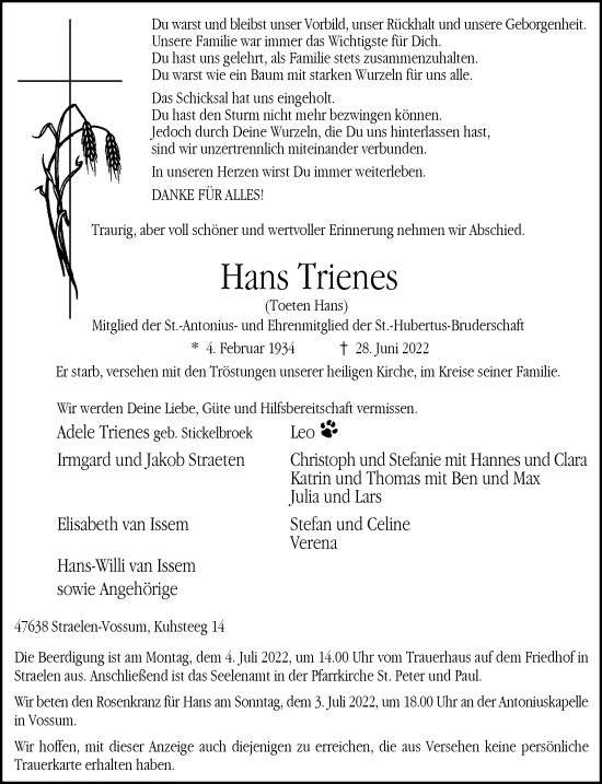 Traueranzeige von Hans Trienes 