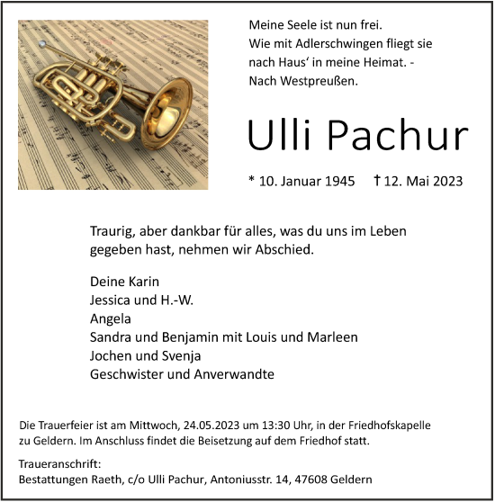 Traueranzeige von Ulli Pachur 