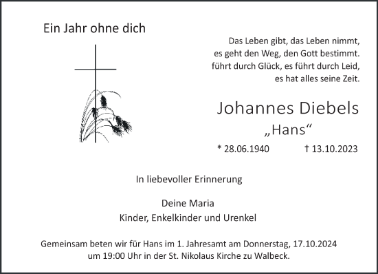 Traueranzeige von Johannes Diebels von NNA
